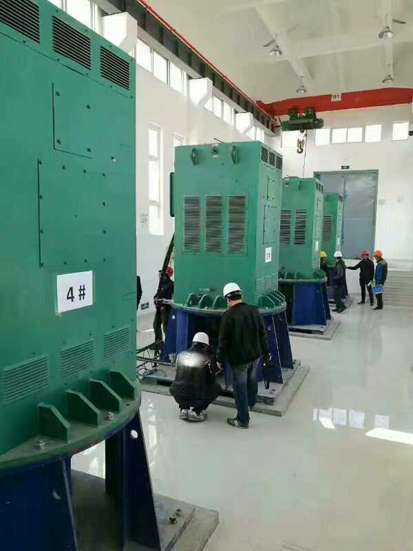 潍坊某污水处理厂使用我厂的立式高压电机安装现场